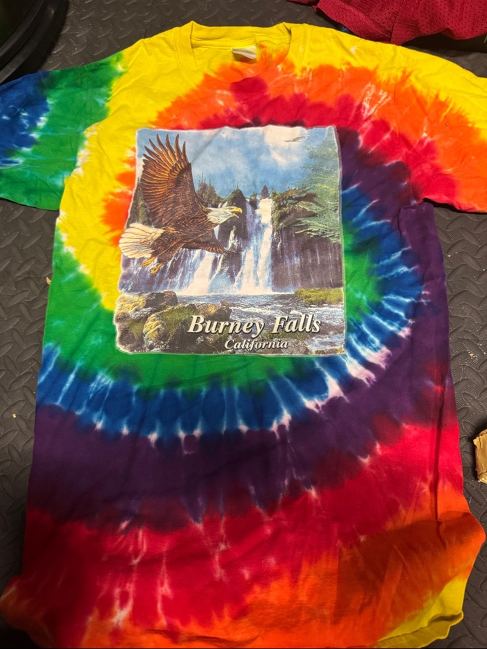 Tie-Dye Eagle Graphic Tee - Multicolor - Burney Falls